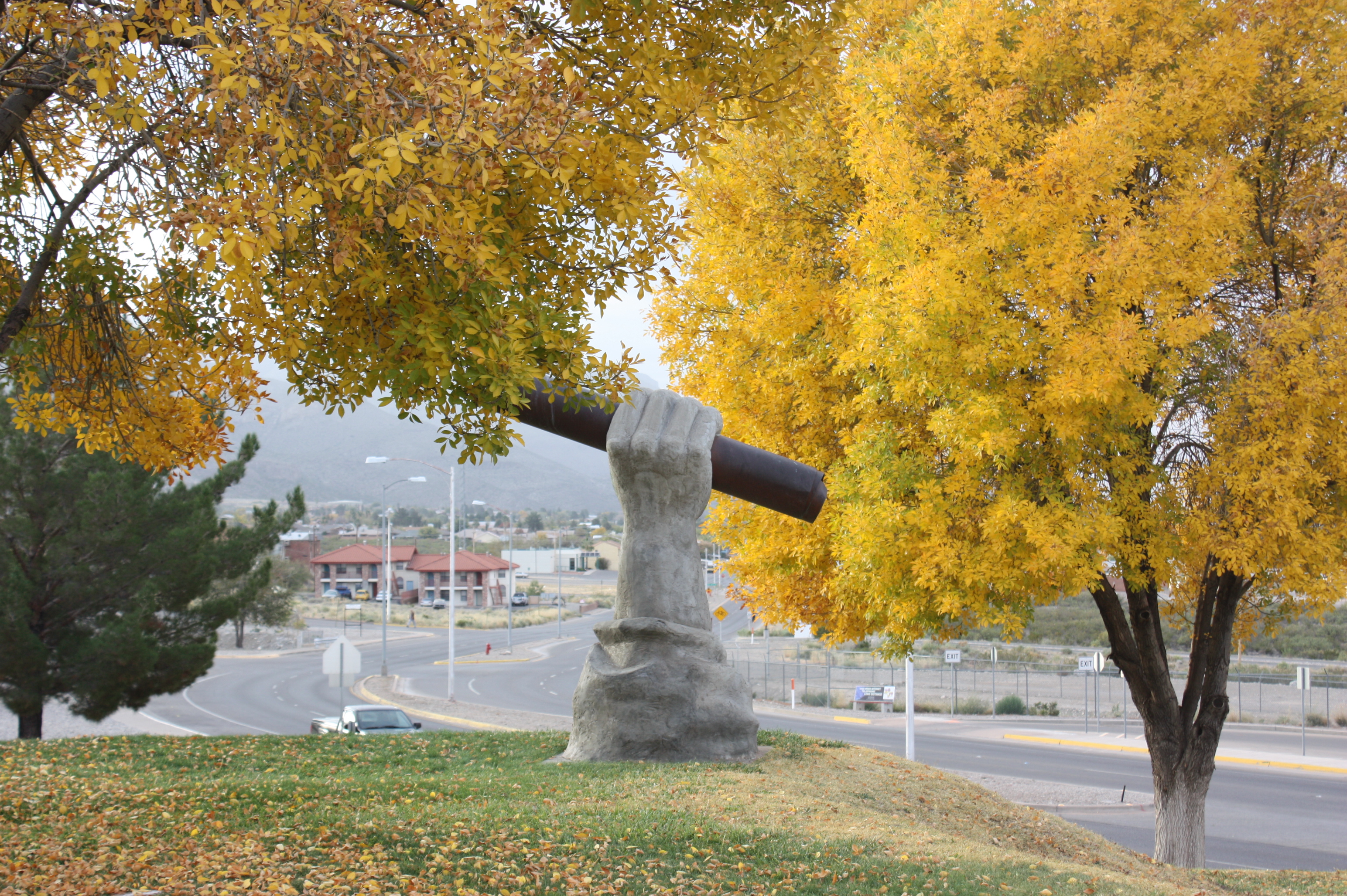 fall-trees-diploma-sculpture