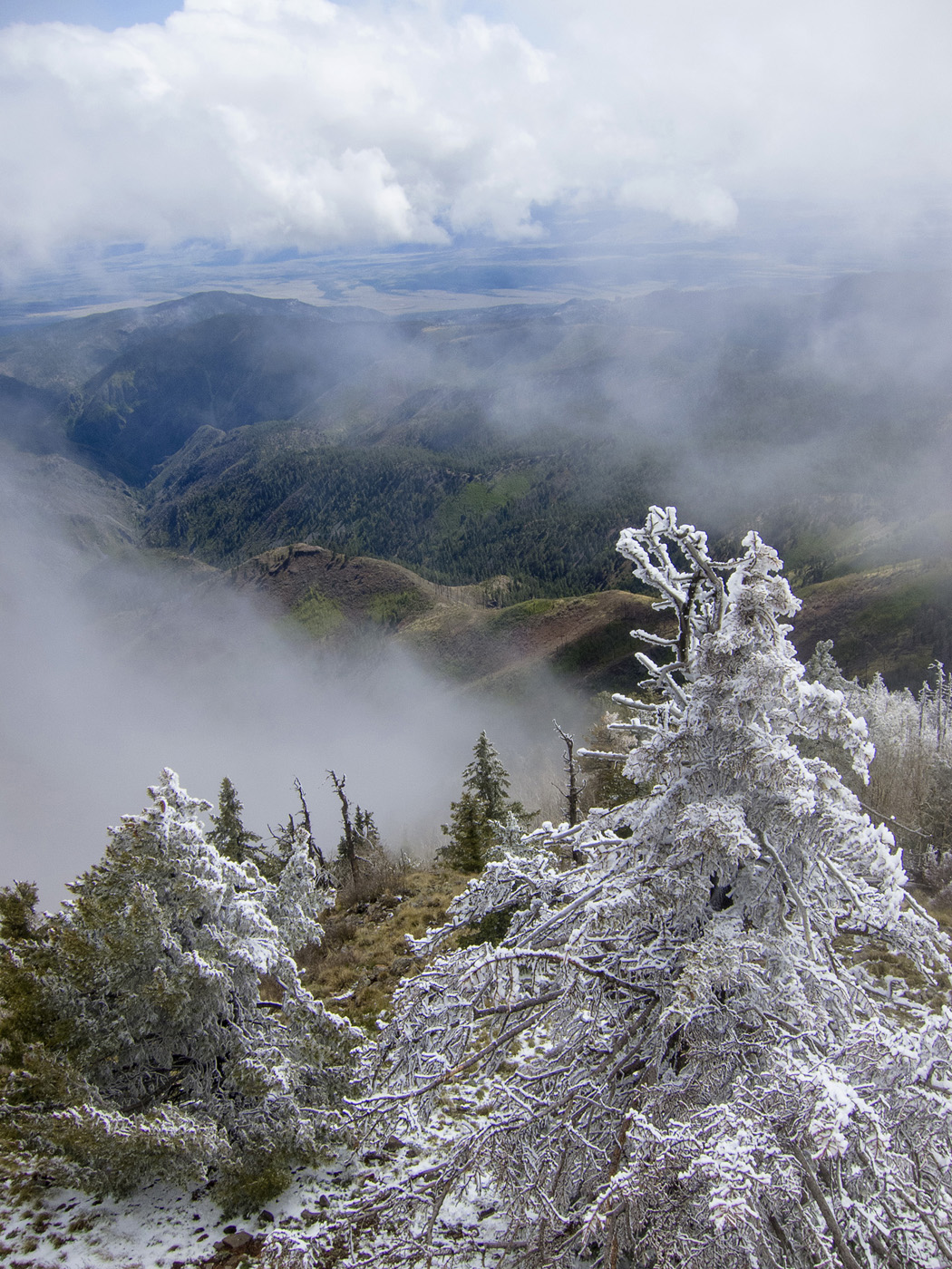 View-from-Mogollon-Baldy-Lookout-Tower-After-Snowstorm